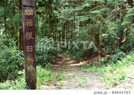 箱根町 国指定史跡箱根旧街道案内と箱根旧街道 箱根町 国指定史跡箱根旧街道案内と箱根旧街道 89644765
