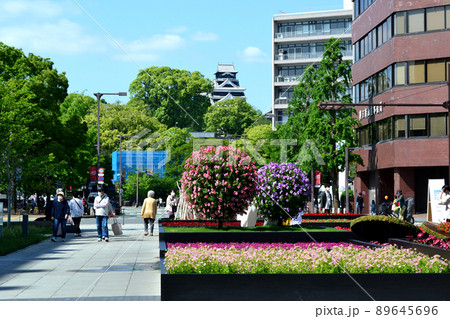 熊本城周辺の都市景観　花とみどりに彩られた桜町・花畑エリアの町並み 89645696