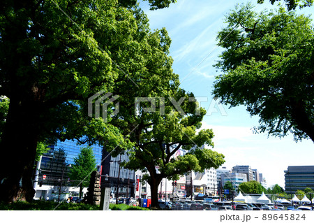 熊本城周辺の都市景観 花とみどりに彩られた桜町・花畑エリアの町並み 熊本城周辺の都市景観 花とみどりに彩られた桜町・花畑エリアの町並み 89645824