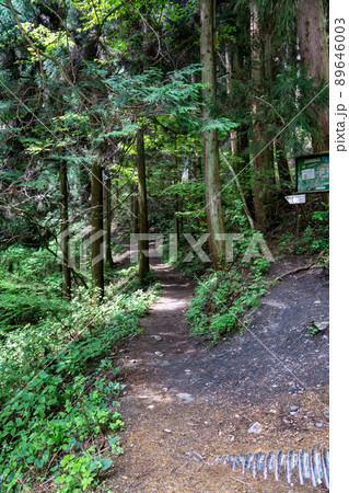 陣馬山　新ハイキングコース 89646003