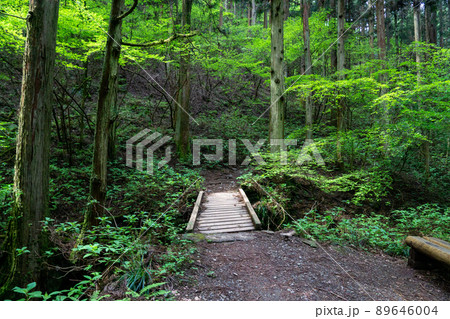 陣馬山　新ハイキングコース 89646004