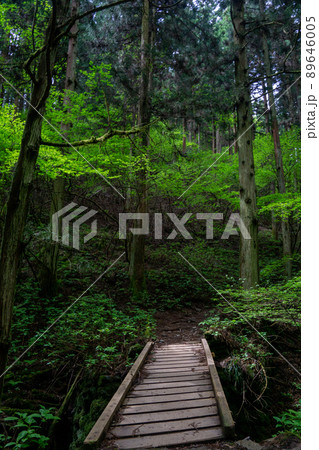 陣馬山　新ハイキングコース 89646005