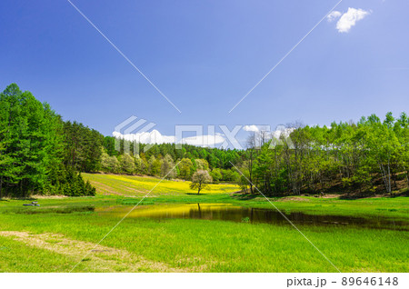 春の中山高原 89646148