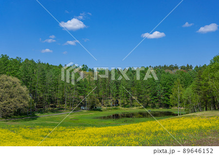 中山高原キャンプ場 89646152