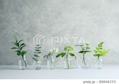 ナチュラルな植物の背景素材 89646255