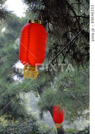Changsha, Hunan Province, China: Traditional red Chinese lanterns hanging from trees outside Tianxin Pavilion in Changsha. Changsha, Hunan Province, China: Traditional red Chinese lanterns hanging from trees outside Tianxin Pavilion in Changsha. 89646355