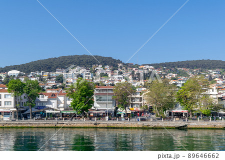 View of Heybeliada island from the sea with summer houses, Sea of Marmara, near Istanbul, Turkey 89646662