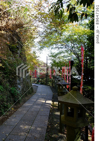 秋の大山寺参道 89647361