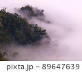 林 森 樹林 89647639