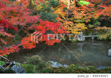 晩秋の夕暮れ京都市左京区の蓮華寺の庭園が美しい 89649065
