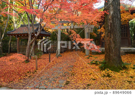 晩秋の夕暮れ京都市左京区の蓮華寺の落葉が美しい 晩秋の夕暮れ京都市左京区の蓮華寺の落葉が美しい 89649066