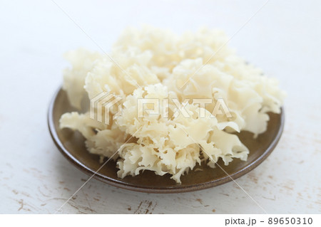 花弁茸 89650310