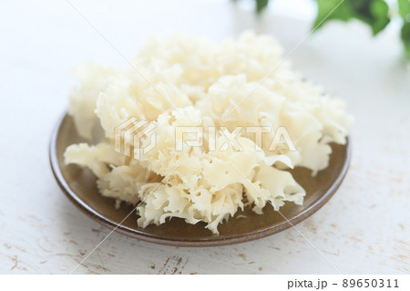 花弁茸 89650311