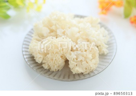 花弁茸 89650313