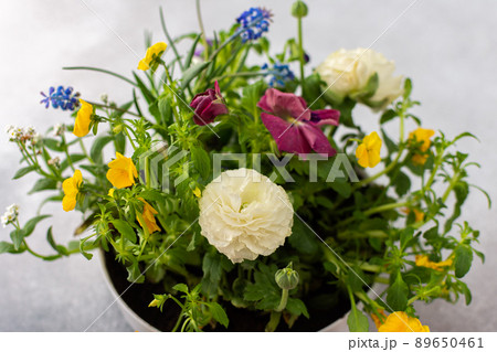 Vase with beautiful flowers Vase with beautiful flowers 89650461