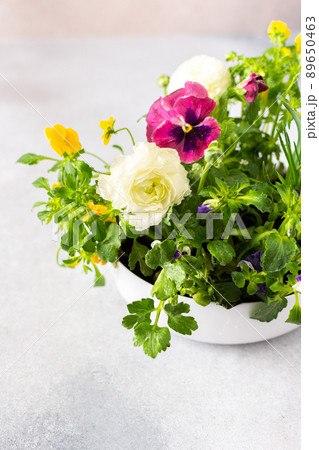Vase with beautiful flowers 89650463