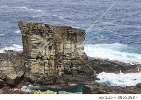 サンニヌダイ 89650887