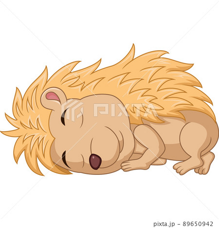Cute little hedgehog cartoon sleeping Cute little hedgehog cartoon sleeping 89650942