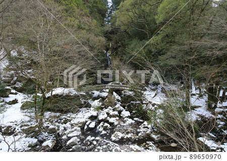 高知県津野町　冬の長沢の滝 89650970