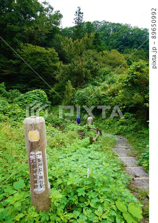 銭洗い　金運　和同開珎　和銅採掘露天掘跡　埼玉　秩父　黒谷　聖神社 89650992