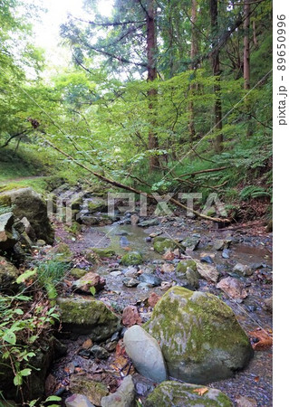 銭洗い 金運 和同開珎 和銅採掘露天掘跡 埼玉 秩父 黒谷 聖神社 銭洗い 金運 和同開珎 和銅採掘露天掘跡 埼玉 秩父 黒谷 聖神社 89650996