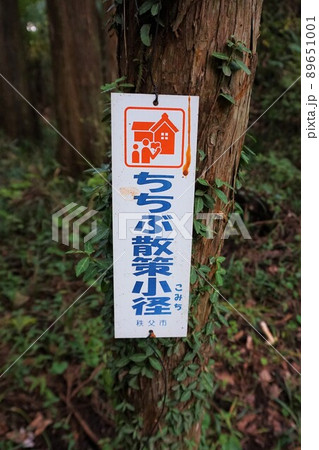 ちちぶ散策小径　銭洗い　金運　和同開珎　和銅採掘露天掘跡　埼玉　秩父　黒谷　聖神社 89651001