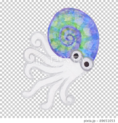 POP and cute ammonite watercolor painting 89651053
