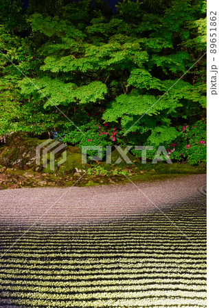 京都 圓徳院の夜間特別拝観と美しい庭園 京都 圓徳院の夜間特別拝観と美しい庭園 89651862
