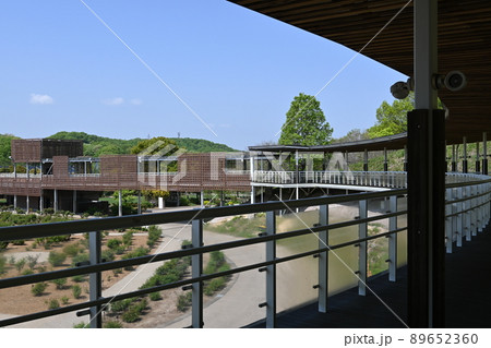 ぎふワールド・ローズガーデンの展望デッキとバラ園 89652360