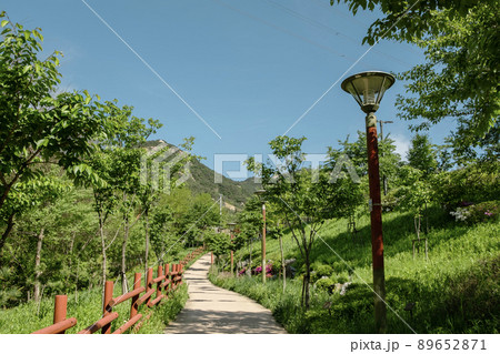 Bukhansan mountain trail road at summer in Seoul, Korea Bukhansan mountain trail road at summer in Seoul, Korea 89652871