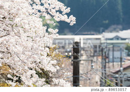 【南木曽駅】桜と南木曽駅 89653057