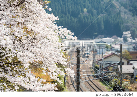 【南木曽駅】桜と南木曽駅 89653064