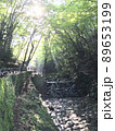 光が差し込む自然溢れる場所③ 89653199