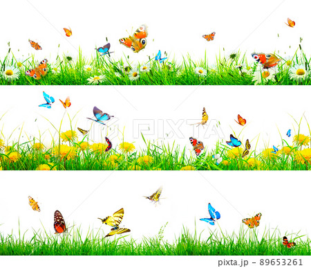 Beautiful nature view of butterfly on blurred background in garden. 89653261