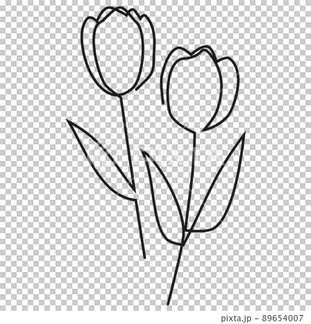 一筆書きで描いたチューリップ　線画のイラスト素材 89654007