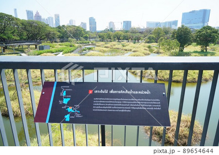 Benjakitti Forest Park in Bangkok, Thailand 89654644