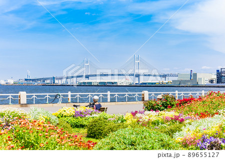 横浜　山下公園とベイブリッジ 89655127