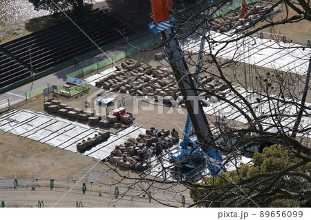 香川県丸亀市の史跡丸亀城跡　本丸より石垣修復現場を望む 89656099