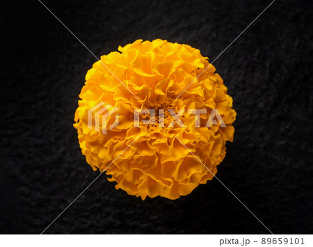 Top view of a flower on a black background. Photo from above. Top view of a flower on a black background. Photo from above. 89659101