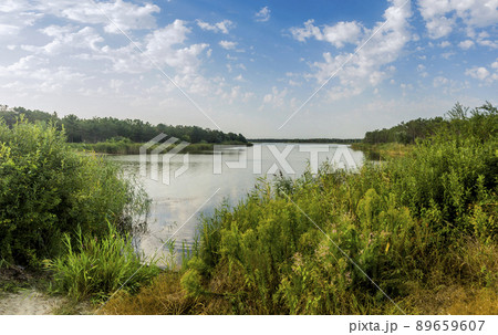 landscape of the lake in the Ukrainian part of the Danube Delta 89659607