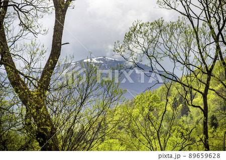 the peak of Parashka in the distance 89659628