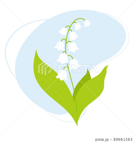 Spring flower. Beautiful May lily of valley with leaves. Vector illustration for design, postcards, decor and decoration, print. 89661563