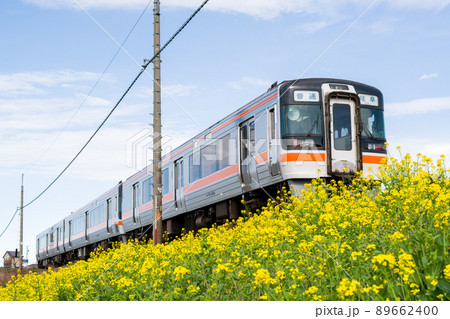【高山本線】菜の花の横を駆け抜ける列車 89662400