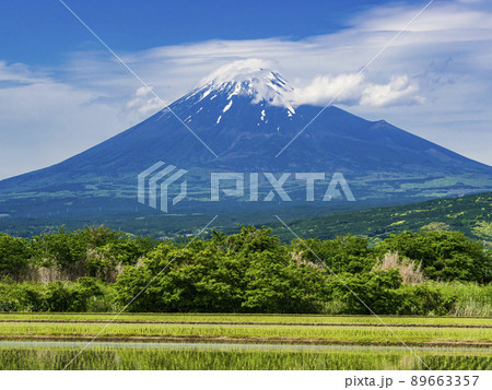 初夏の富士山（田植え） 89663357