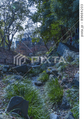 東京タワー近くのもみじ谷の公園「都心にある憩いの場」 89664203