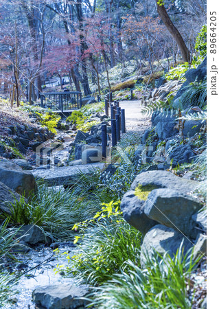 東京タワー近くのもみじ谷の公園「都心にある憩いの場」 89664205