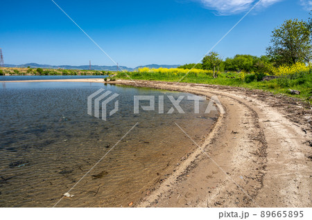 淀川の水辺風景 89665895