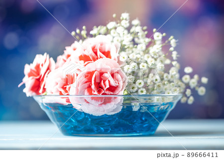 カーネーションの花 カーネーションの花 89666411