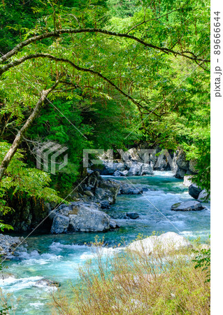 阿寺渓谷(夏) 阿寺渓谷(夏) 89666644