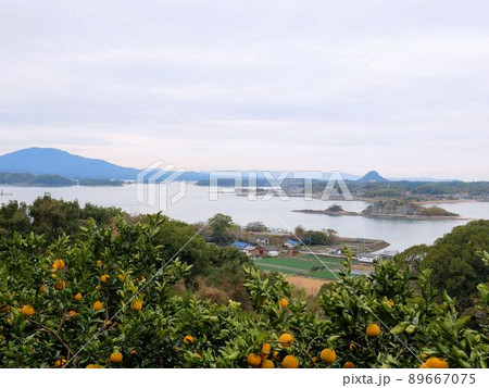 維和島の山から見える天草の景色　（熊本県） 89667075